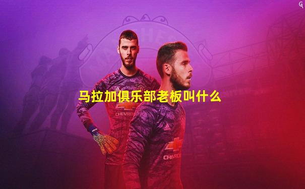 马拉加俱乐部老板叫什么